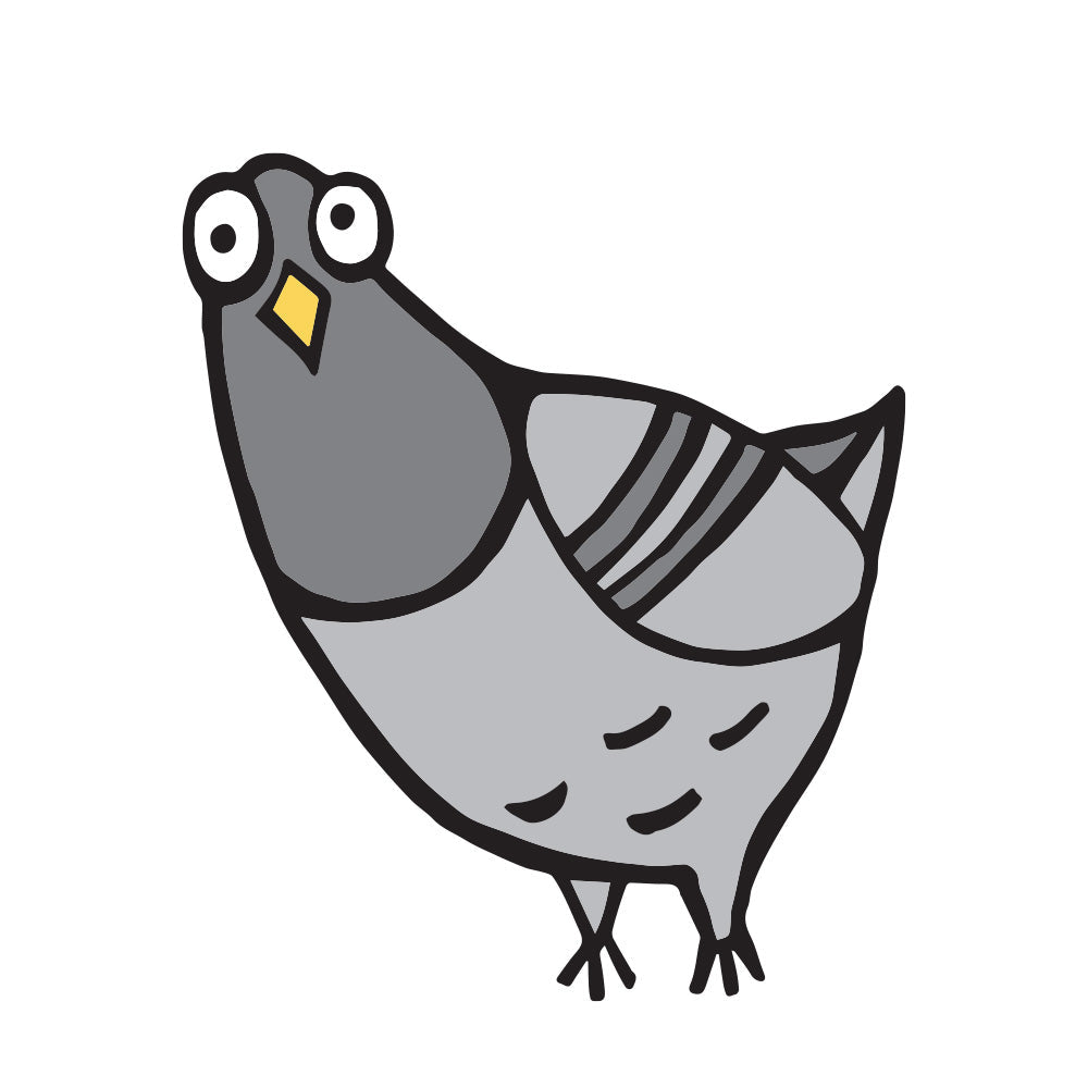 Claude – die Taube