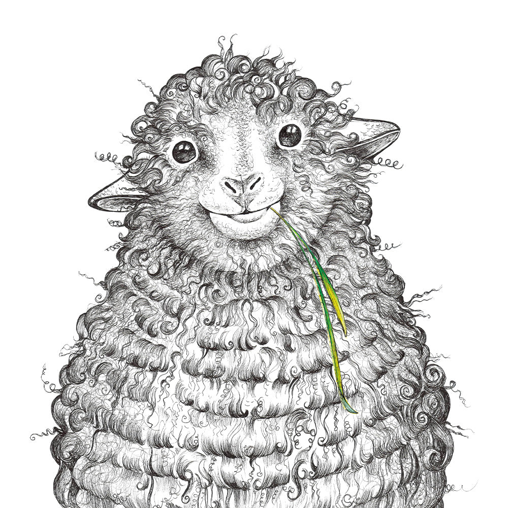 Wollfried – das Schaf