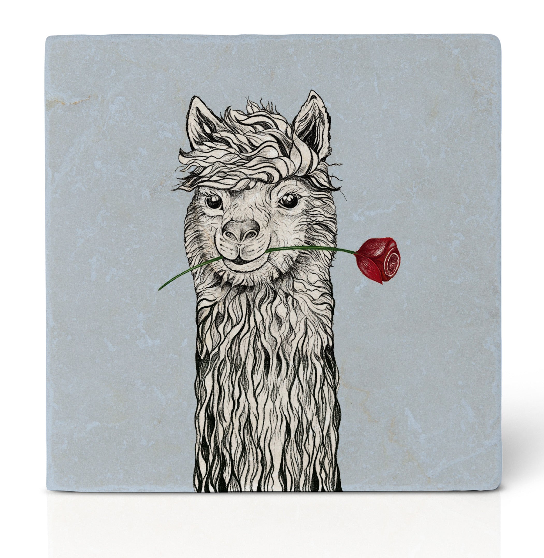 Tile Coasters - Set of 5 - Lama Club