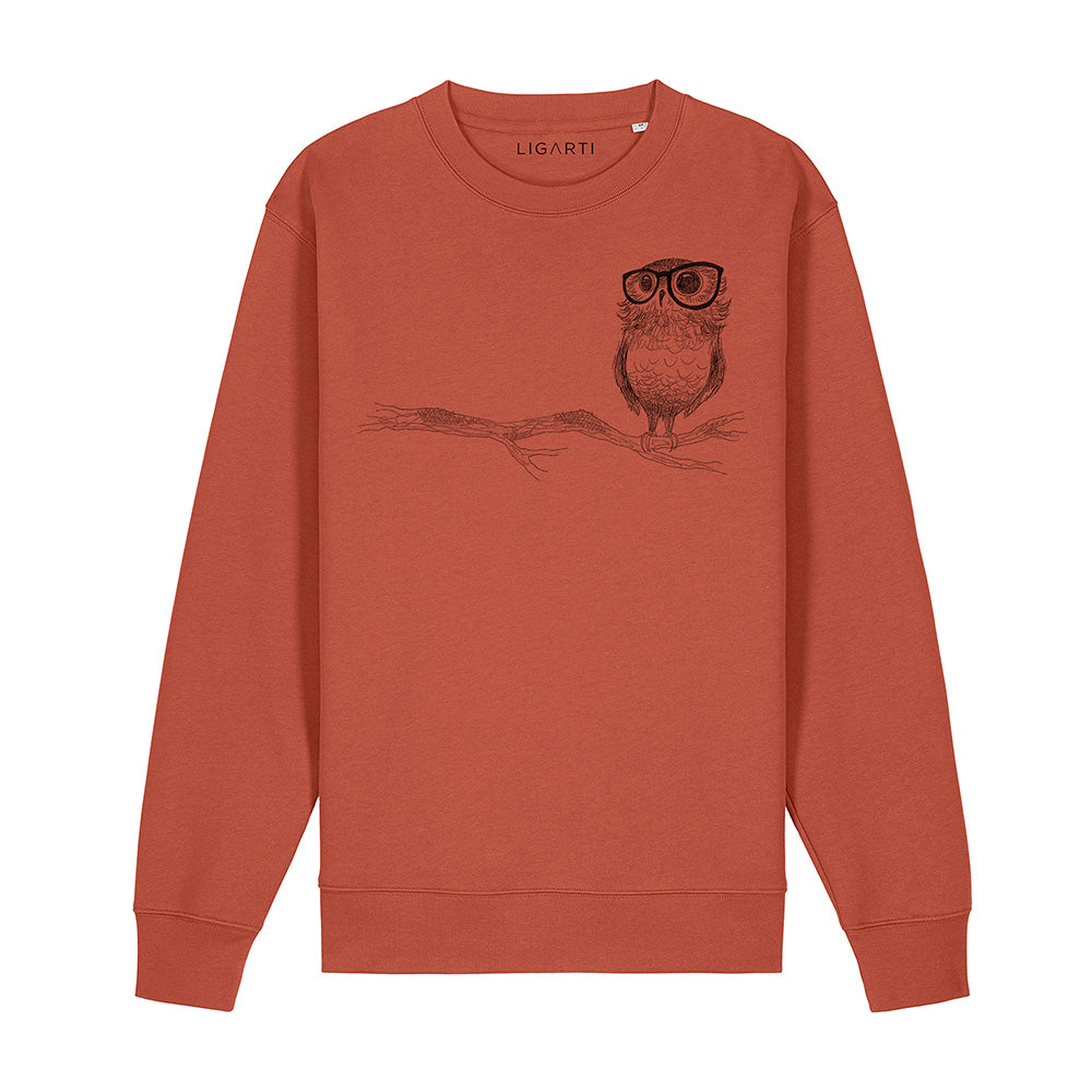 Pullover – Brilleneule