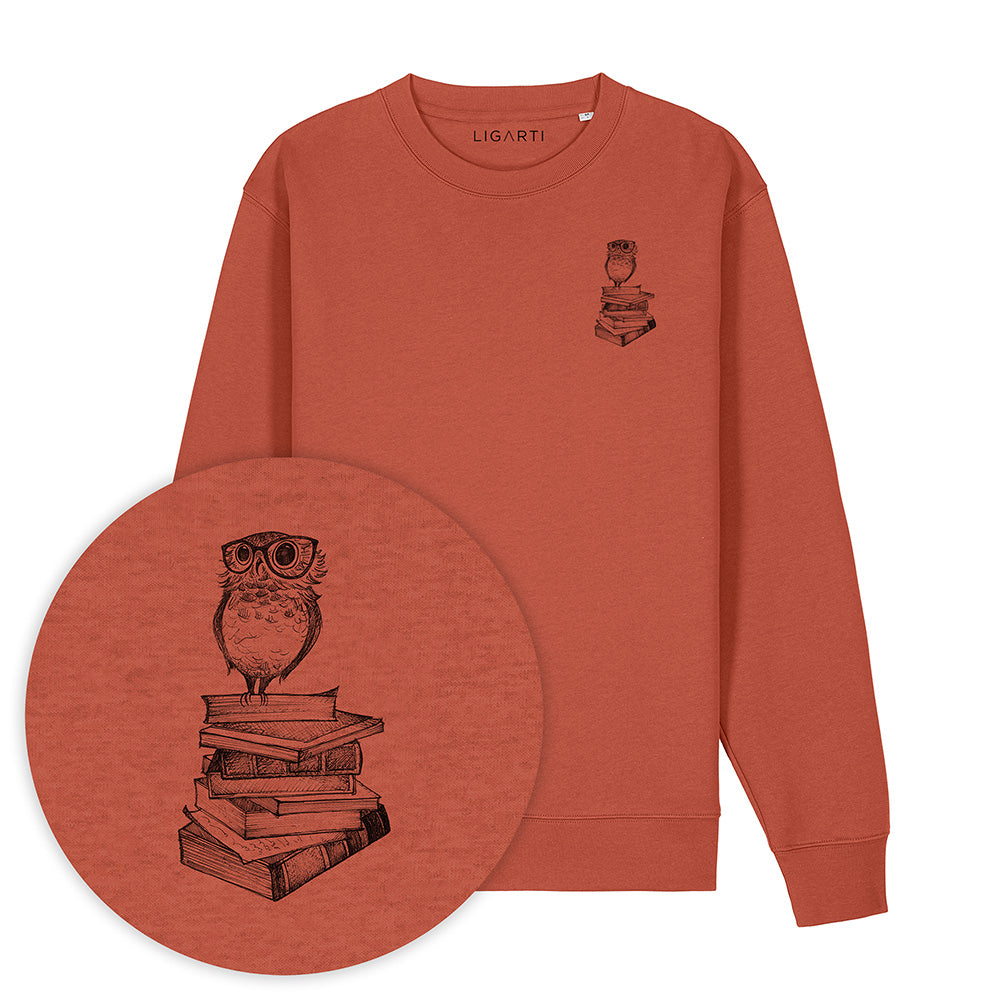 Pullover – Büchereule