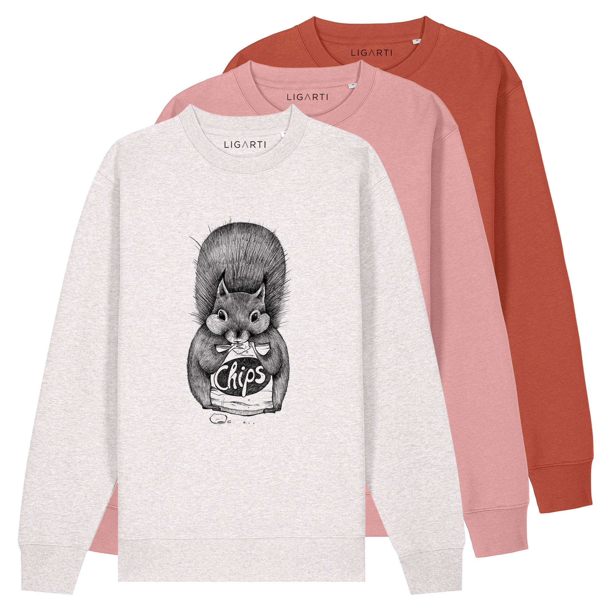 Pullover – Chipseichhörnchen