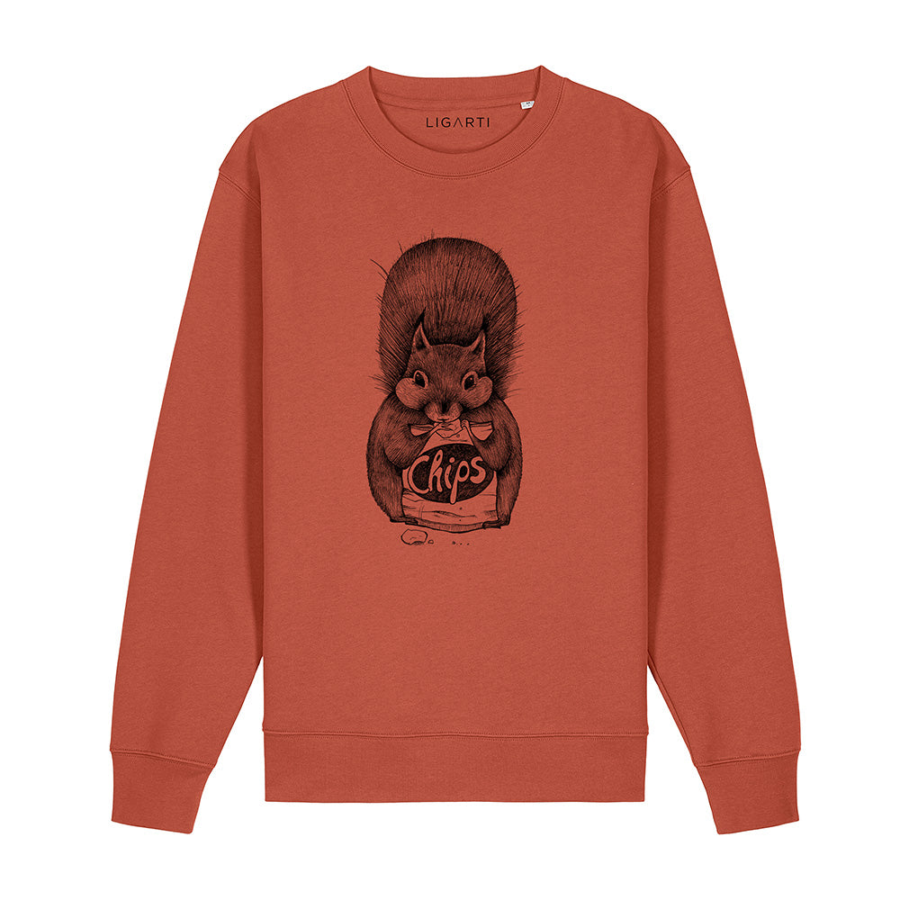 Pullover – Chipseichhörnchen