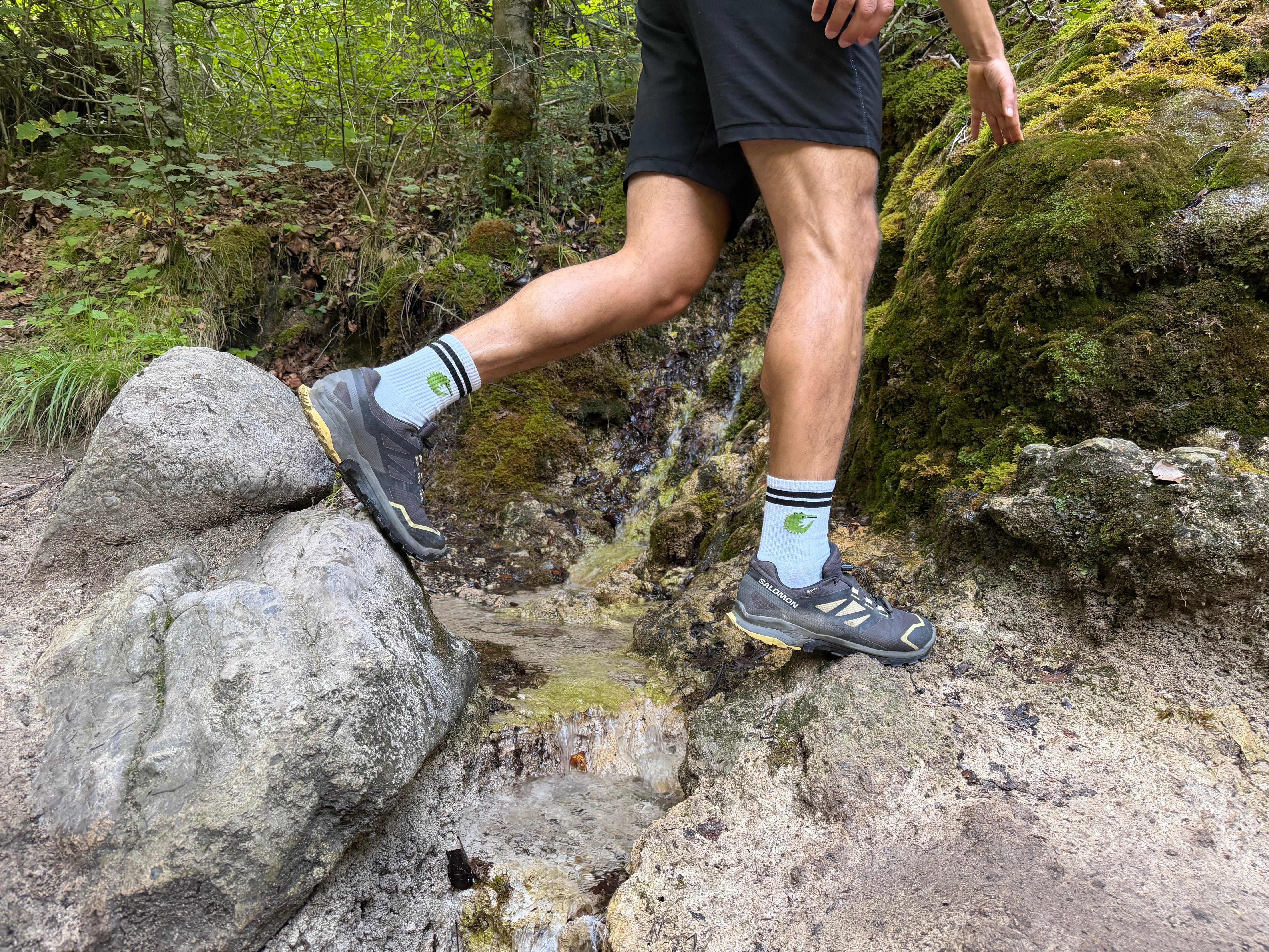 Sports socks – Ali the crocodile