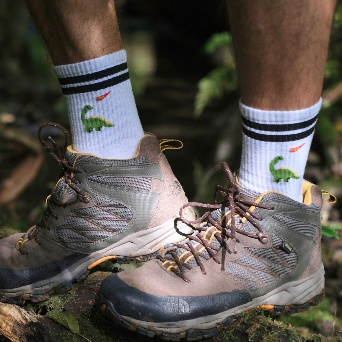 Sportsocken – Charlie der Dino