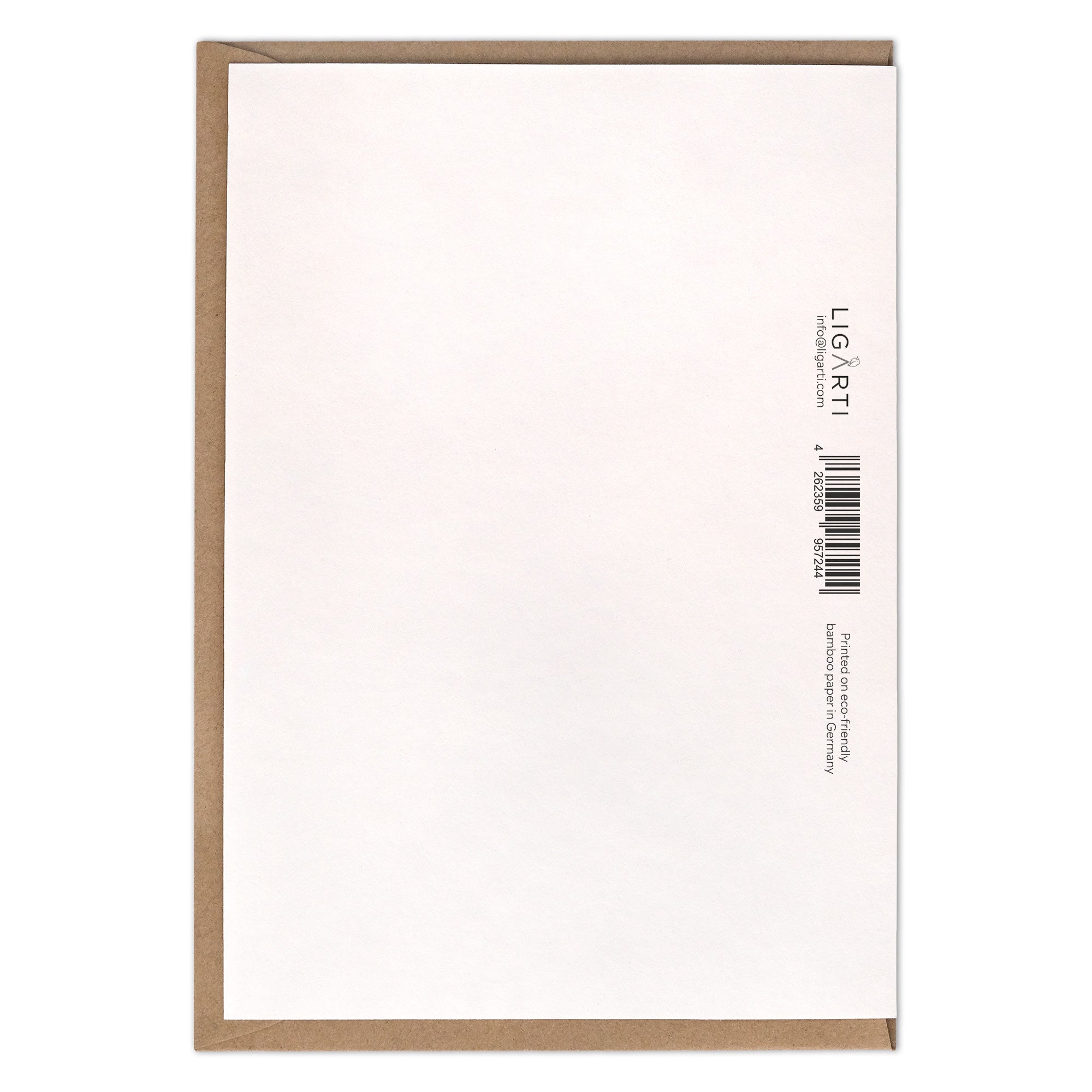 Folding card – Ramen cat