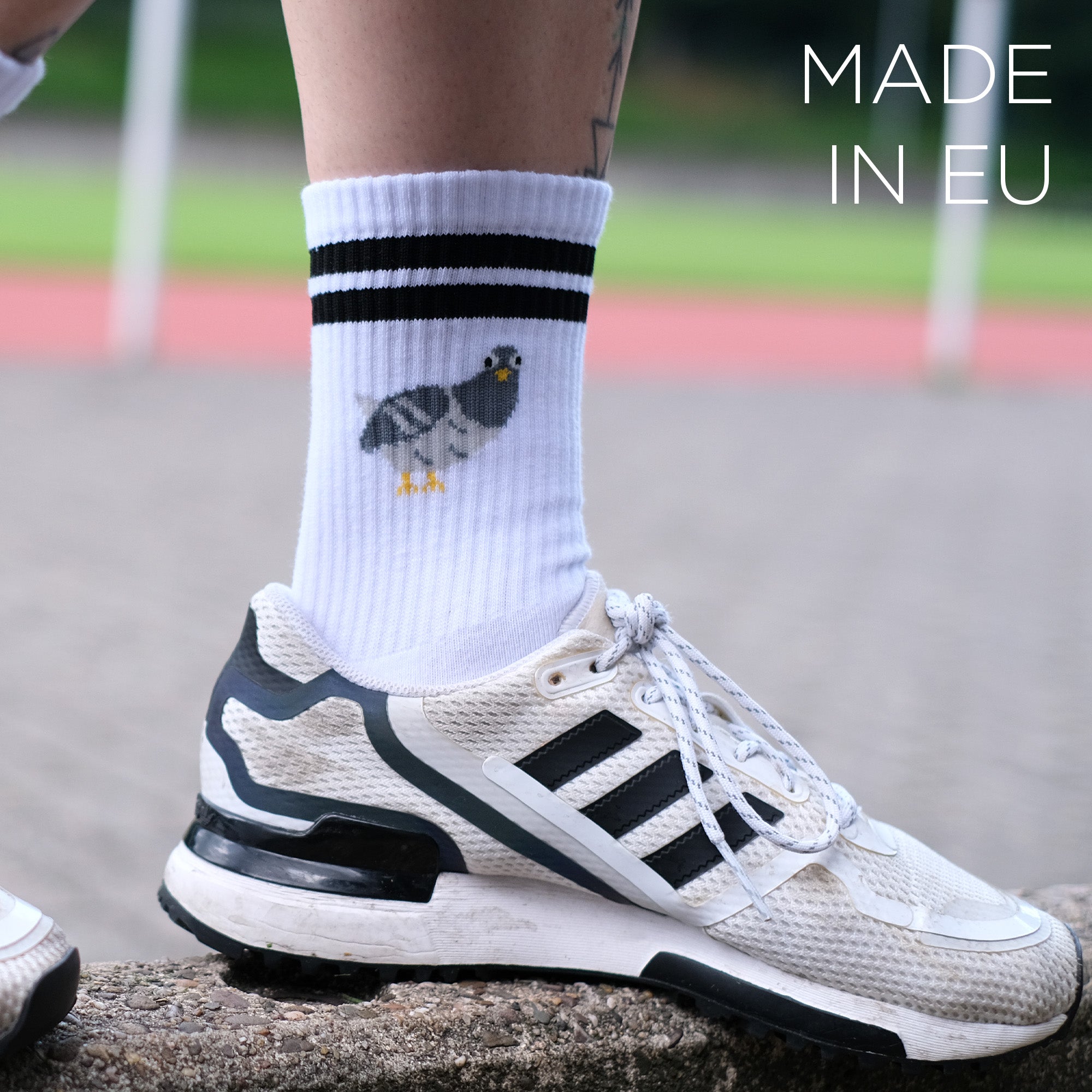 Sportsocken – Claude die Taube