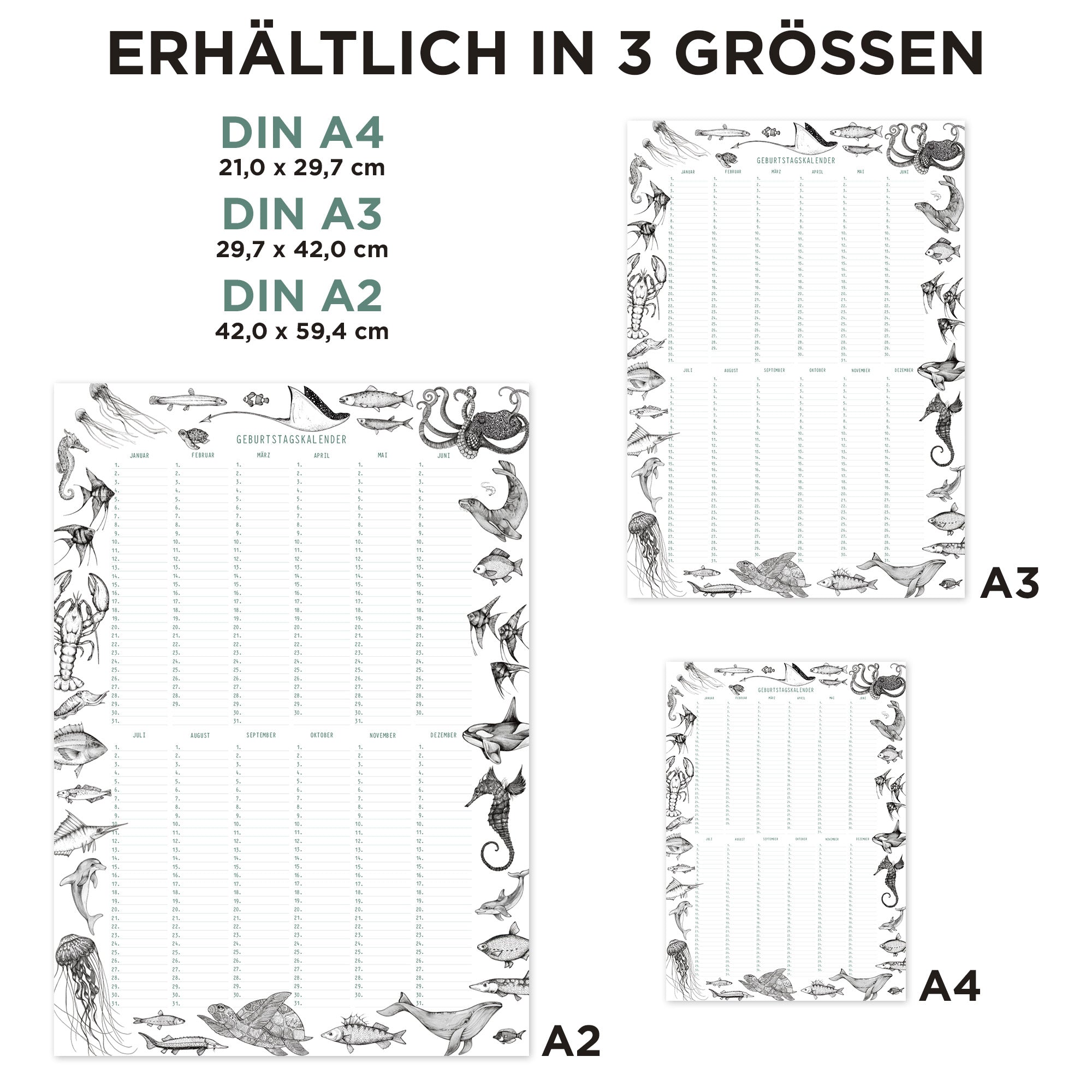 Geburtstagskalender – Unterwasser