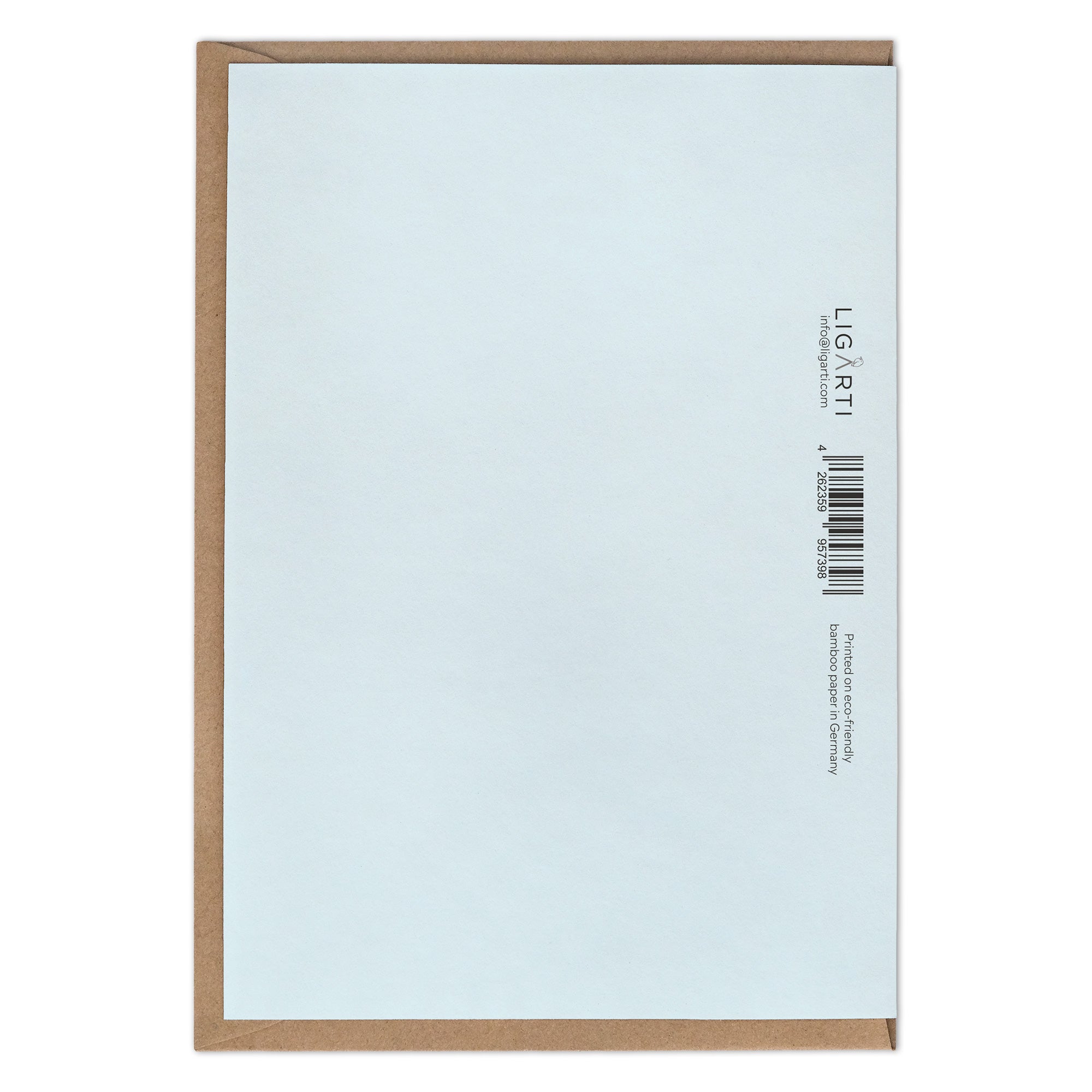Folding card – Magic bear