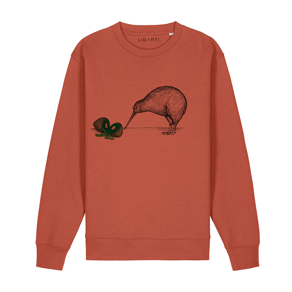 Pullover – Zwei Kiwis