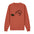Pullover – Zwei Kiwis