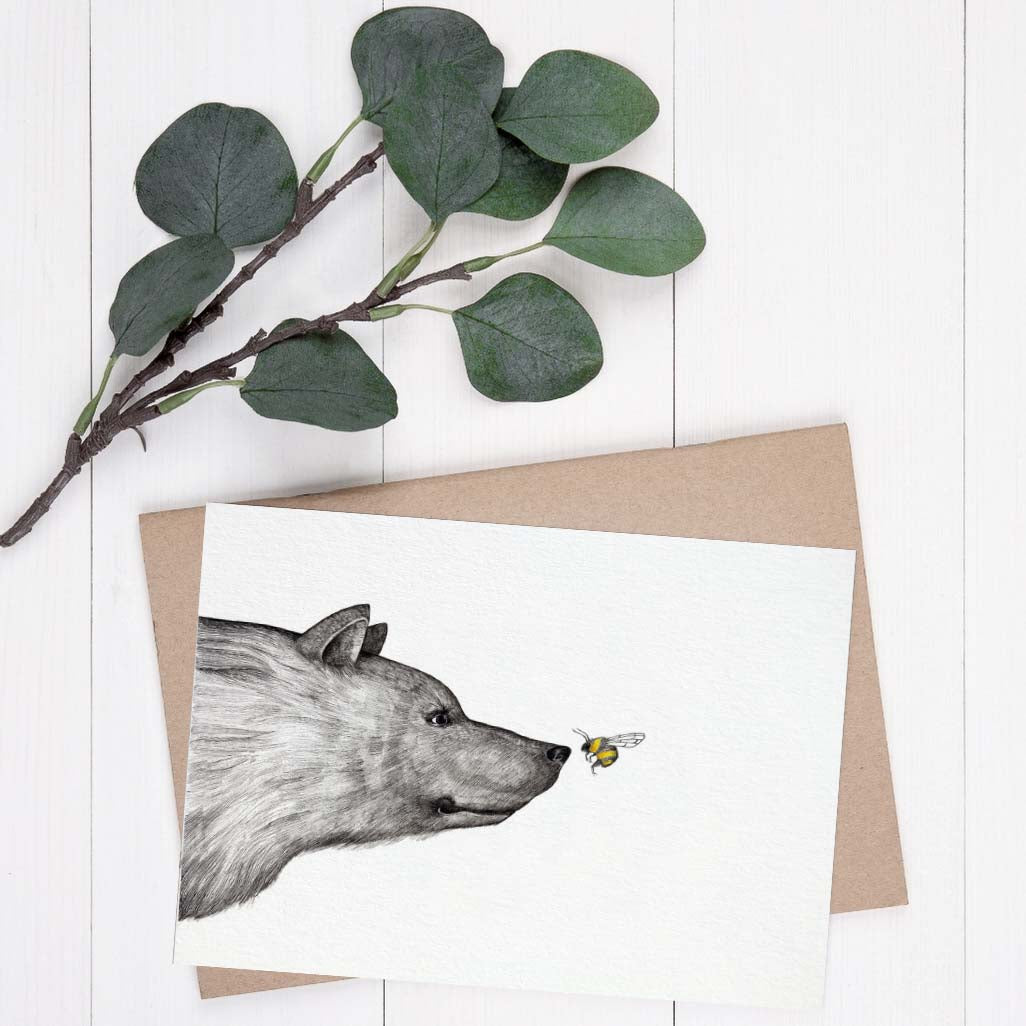 Postkarten – 25er-Set – All Stars