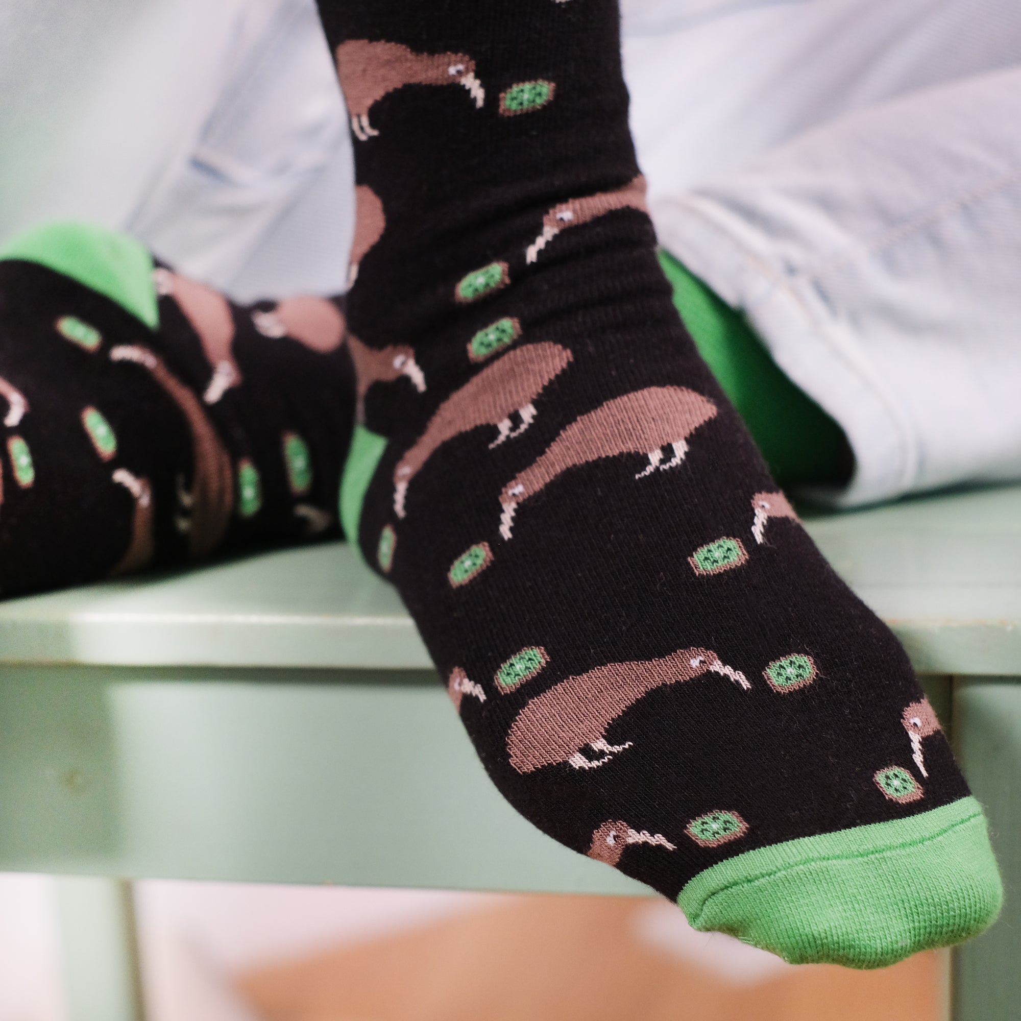 Socken – Zwei Kiwis