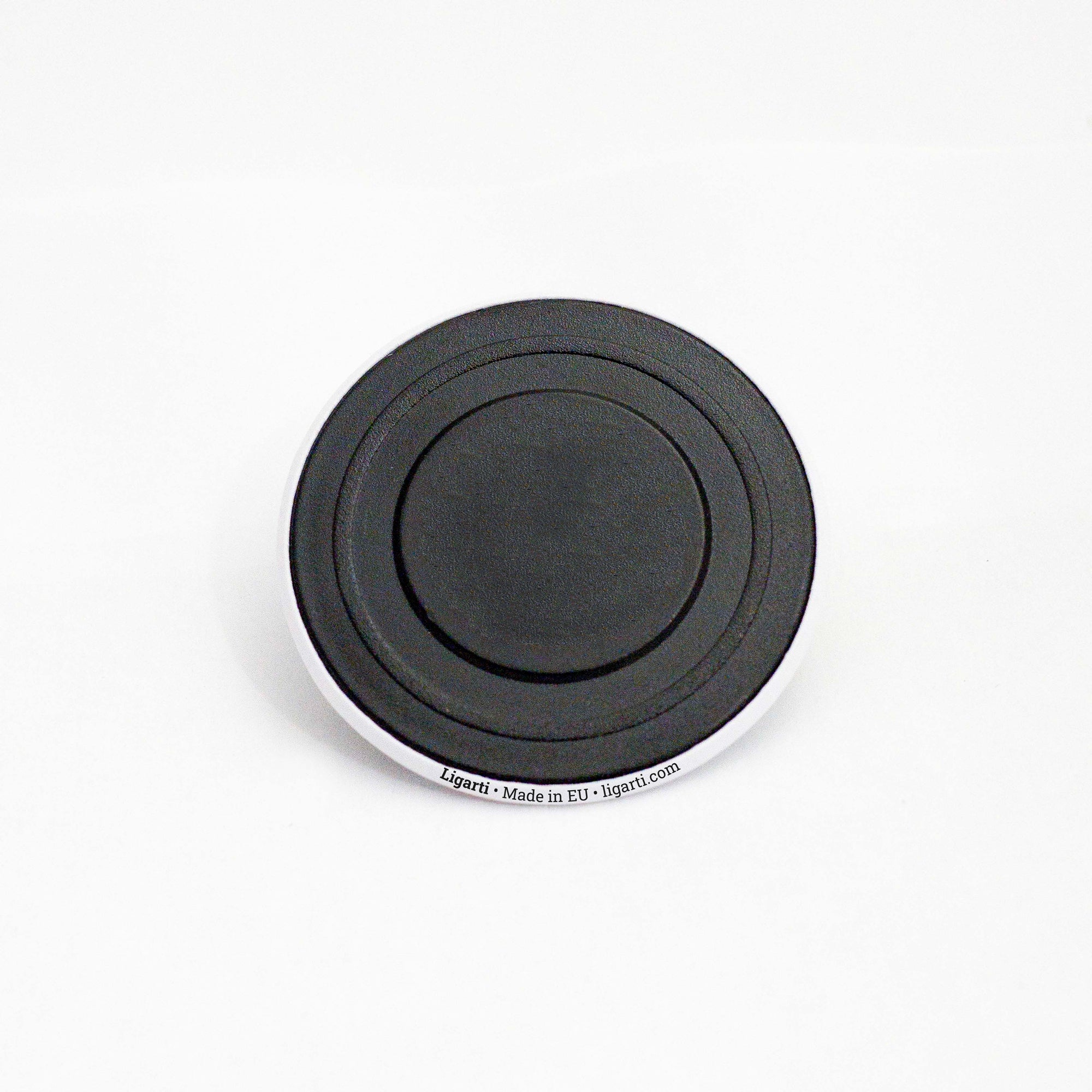 Magnet – Zwei Kiwis